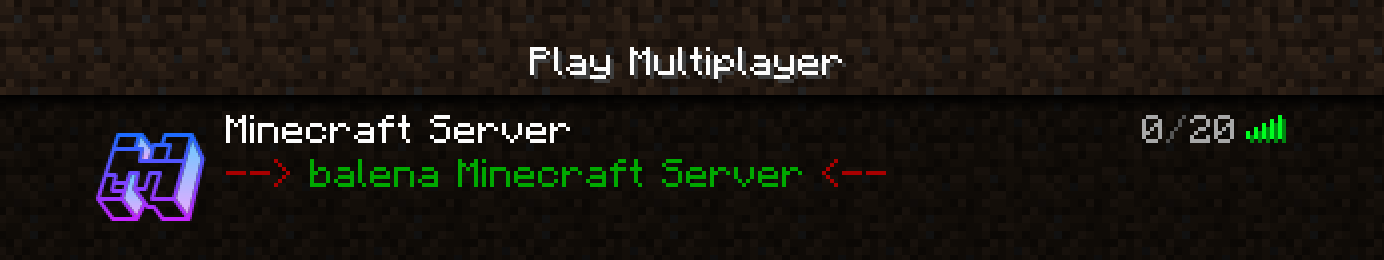 balena minecraft server in multiplayer server select