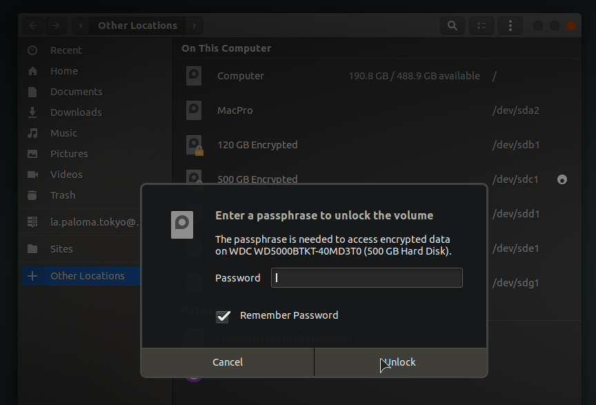 enter password for encrypted disk