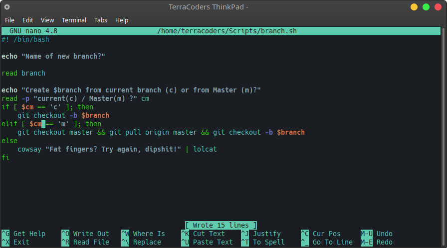 git create branch terminal