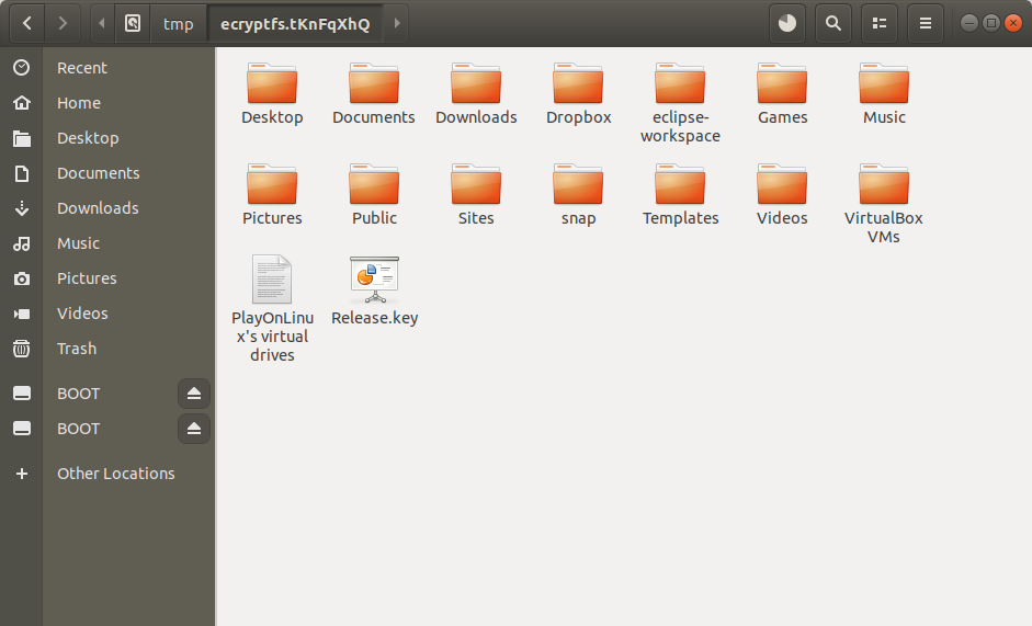 success--at last our decrypted folder is visible in the file manager